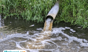 Limbah dari Gudang Terbakar di Tangsel Diduga Jadi Biang Kerok Pencemaran Air Sungai, Polisi Selidiki