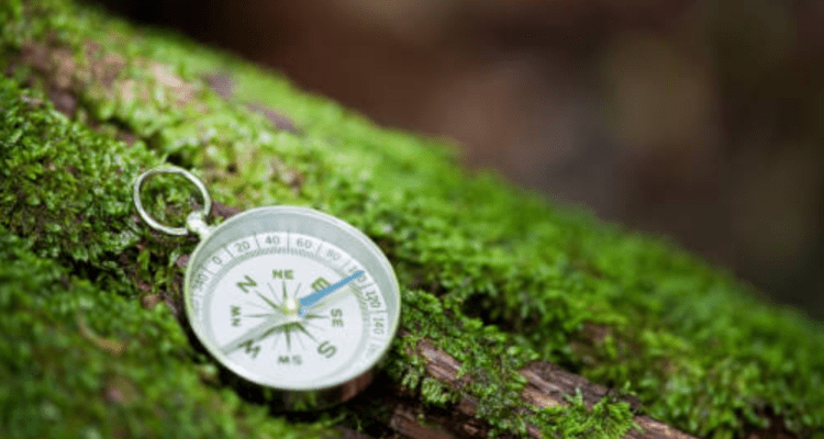 Tim SAR Gabungan Lakukan Pencarian Terhadap Pendaki Hilang di Kawah Ijen Banyuwangi