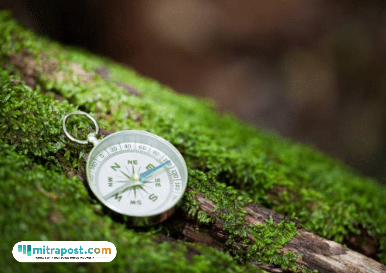 Tim SAR Gabungan Lakukan Pencarian Terhadap Pendaki Hilang di Kawah Ijen Banyuwangi