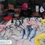 Foto : Penjual ikan di Pasar Puri Baru Pati. (Sumber. Mitrapost.com/ Ilham)