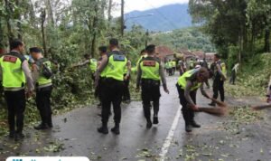 Penanganan pohon tumbang di Jalan Kalirejo-Kalongan Ungaran /polres semarang
