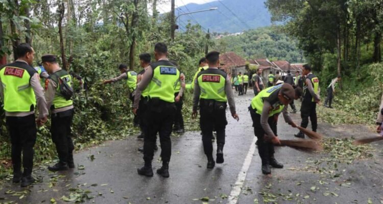 Penanganan pohon tumbang di Jalan Kalirejo-Kalongan Ungaran /polres semarang
