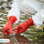 Heboh Ikan di Sungai Cisadane Tangerang Mati, Diduga Ada Pencemaran Limbah Cair