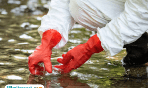 Heboh Ikan di Sungai Cisadane Tangerang Mati, Diduga Ada Pencemaran Limbah Cair
