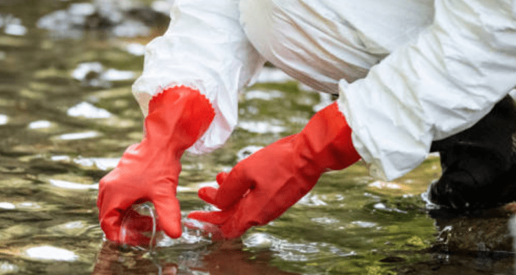 Heboh Ikan di Sungai Cisadane Tangerang Mati, Diduga Ada Pencemaran Limbah Cair