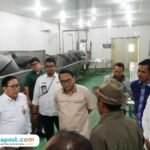 Stok Bibit Ayam di Pati Langka, Pemkab Upayakan Distribusi Jangkau Peternak Mandiri