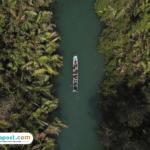 BRIN Sebut Indonesia Tengah Hadapi Gangguan Ekosistem dari Spesies Asing Invasif