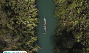 BRIN Sebut Indonesia Tengah Hadapi Gangguan Ekosistem dari Spesies Asing Invasif