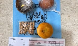 Ilustrasi paket MBG/Jatengprov