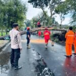 Pohon Tumbang Timpa Rumah Warga di Tulungagung Akibat Hujan Deras dan Angin Kencang/Polres Tulungagung