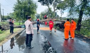 Pohon Tumbang Timpa Rumah Warga di Tulungagung Akibat Hujan Deras dan Angin Kencang/Polres Tulungagung