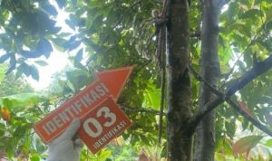 Pria Ditemukan Tewas Gantung Diri di Area Kebun Cengkeh Tlogowungu