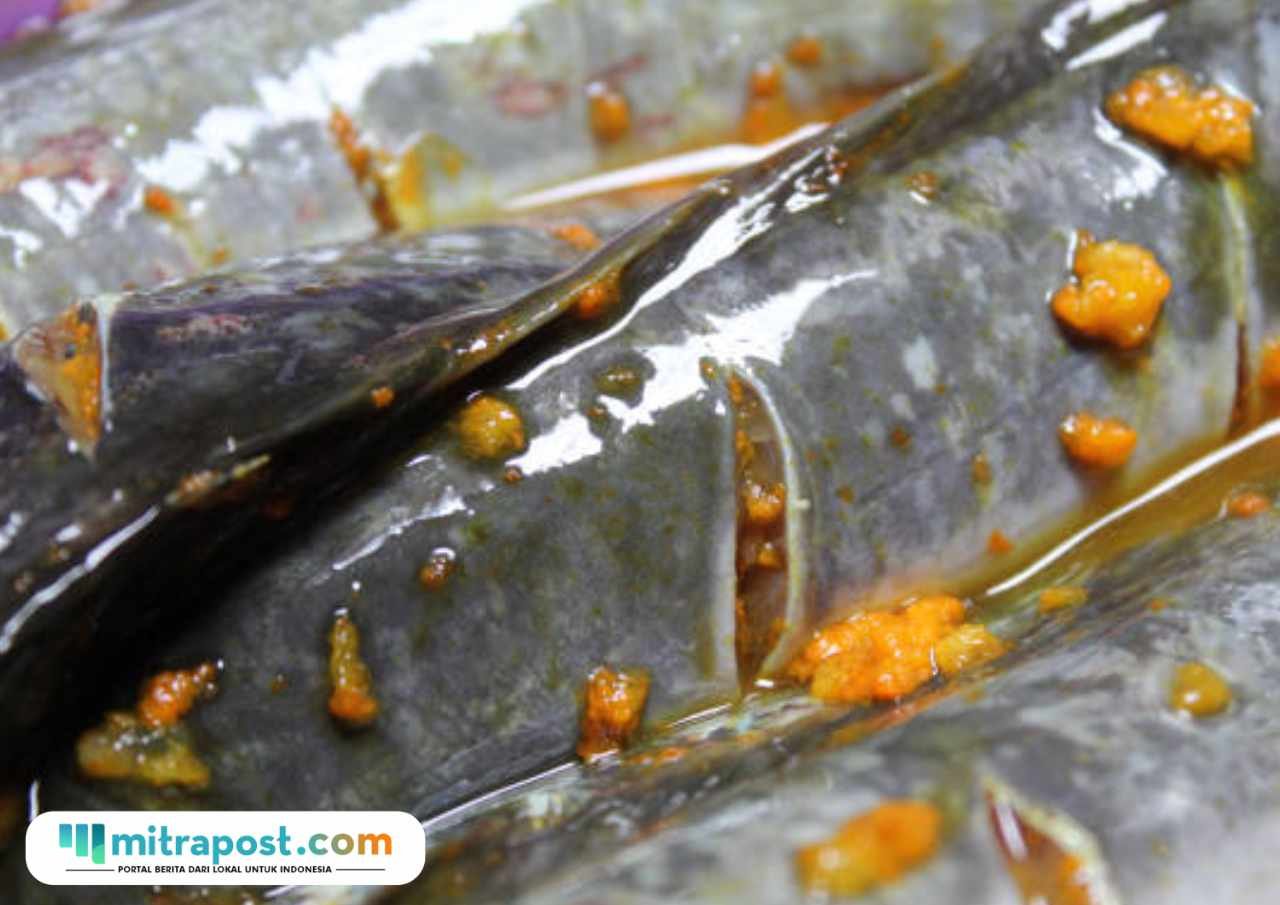 Ilustrasi MBG Ikan Lele/istock