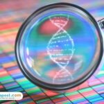 Temuan Potongan Tubuh di Sungai Wos Teben Bali Identik dengan Korban Penculikan WN Ukraina