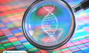 Temuan Potongan Tubuh di Sungai Wos Teben Bali Identik dengan Korban Penculikan WN Ukraina