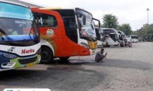 Ilustrasi bus mudik/istock Ilustrasi bus mudik/istock