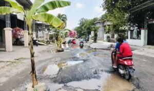 Foto : Kondisi jalan di Desa Kayen Kecamatan Kayen ditanami pisang oleh warga. (Sumber. Mitrapost.com/ Ilham)