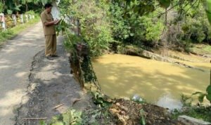 sunga0widodaren Foto : Tanggul Jembatan Desa Lumbungmas Kecamatan Pucakwangi Pati ambrol. (Sumber. Mitrapost.com/ Ilham)