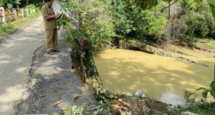 sunga0widodaren Foto : Tanggul Jembatan Desa Lumbungmas Kecamatan Pucakwangi Pati ambrol. (Sumber. Mitrapost.com/ Ilham)