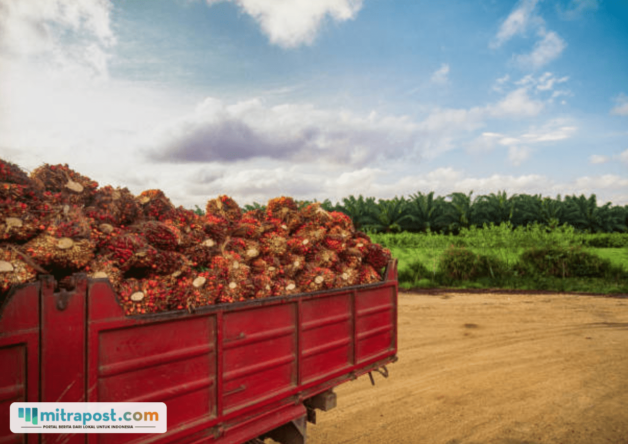 Di Tengah Krisis Energi, Presiden Prabowo Sebut Kelapa Sawit Bisa Jadi Bahan Produksi Avtur