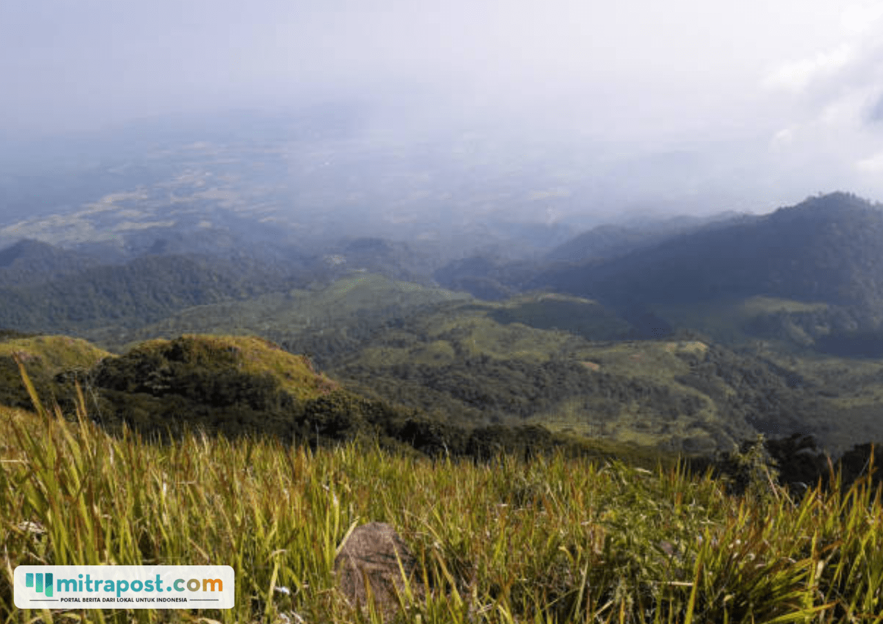 Cuaca Buruk Akibatkan Bayi 1,5 Tahun Alami Hipotermia di Jalur Pendakian Gunung Ungaran