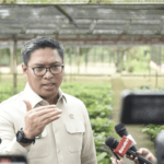 Stok Cadangan Beras RI Capai Rekor Tertinggi Sepanjang Sejarah hingga 5 Juta Ton