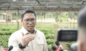 Stok Cadangan Beras RI Capai Rekor Tertinggi Sepanjang Sejarah hingga 5 Juta Ton