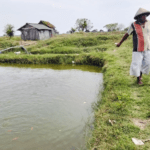 Foto : Petambak ikan di Kecamatan Juwana tengah melihat kondisi tambaknya. (Sumber. Mitrapost.com/ Ilham) Foto : Petambak ikan di Kecamatan Juwana tengah melihat kondisi tambaknya. (Sumber. Mitrapost.com/ Ilham)