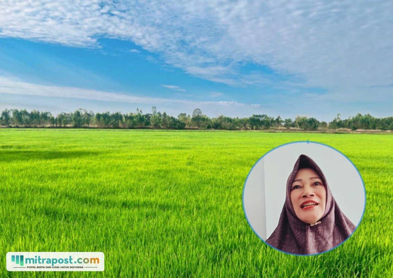 Target Luas Tambah Tanam Padi Tahun 2026 Meningkat, Anggot DPRD Beri Apresiasi