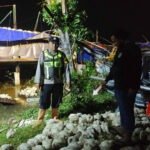 kandang-ayam-sukolilo sukolilo