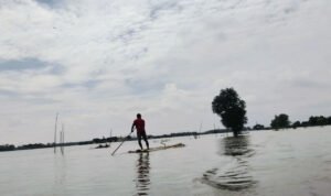 Foto : Lahan pertanian terdampak bencana banjir di Kabupaten Pati, belum lama ini. (Sumber. Mitrapost.com/ Ilham)