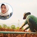 DPRD Pati Harap Pemkab Mudahkan Petani Dapat Pupuk Subsidi guna Maksimalkan Realisasi