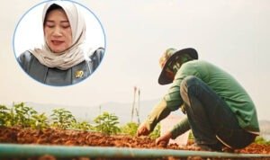 DPRD Pati Harap Pemkab Mudahkan Petani Dapat Pupuk Subsidi guna Maksimalkan Realisasi