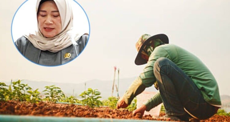 DPRD Pati Harap Pemkab Mudahkan Petani Dapat Pupuk Subsidi guna Maksimalkan Realisasi