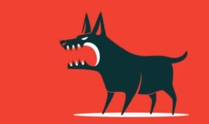 Belasan Warga Buleleng Bali Dilarikan ke Faskes Usai Digigit Anjing Rabies