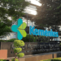 Kemenkes Bentuk Tim Investigasi Terpadu untuk Selidiki Kasus Kematian Dokter Magang di Jambi