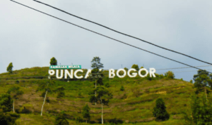 Arus Kendaraan Menuju Puncak Bogor Selama Libur Panjang Kenaikan Isa Al-Masih Naik 18%