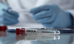 Wabah Ebola Melanda Kongo dan Uganda, WHO Resmi Tetapkan Status Darurat Kesehatan Global