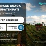 PRAKIRAAN CUACA 29 MEI Cuaca di Pati Esok Hari Diprediksi Cerah Berawan