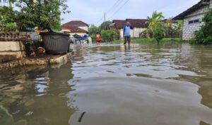 Foto : Kondisi banjir di Desa Ketitang Wetan Kecamatan Batangan Pati. (Dok. Warga setempat)