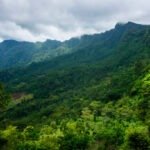 Ilustrasi kawasan pendakian Argopiloso, Gunung Muria/istock