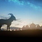 Ilustrasi iduladha/istock