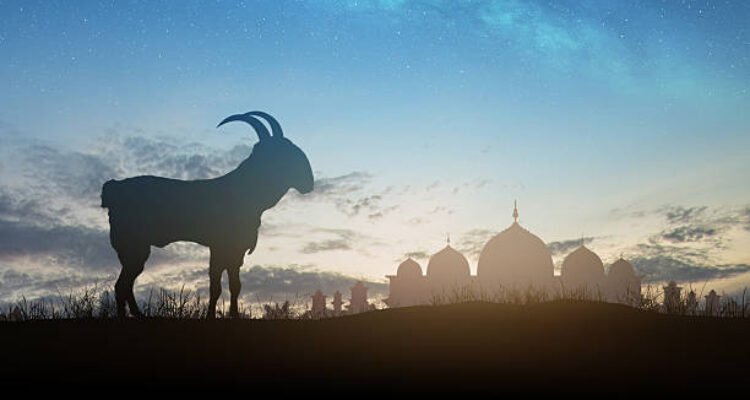 Ilustrasi iduladha/istock