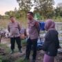 Fenomena Kebakaran Berulang di Seyegan Sleman, Polisi dan Pihak Terkait Bakal Kaji Mendalam Penyebabnya