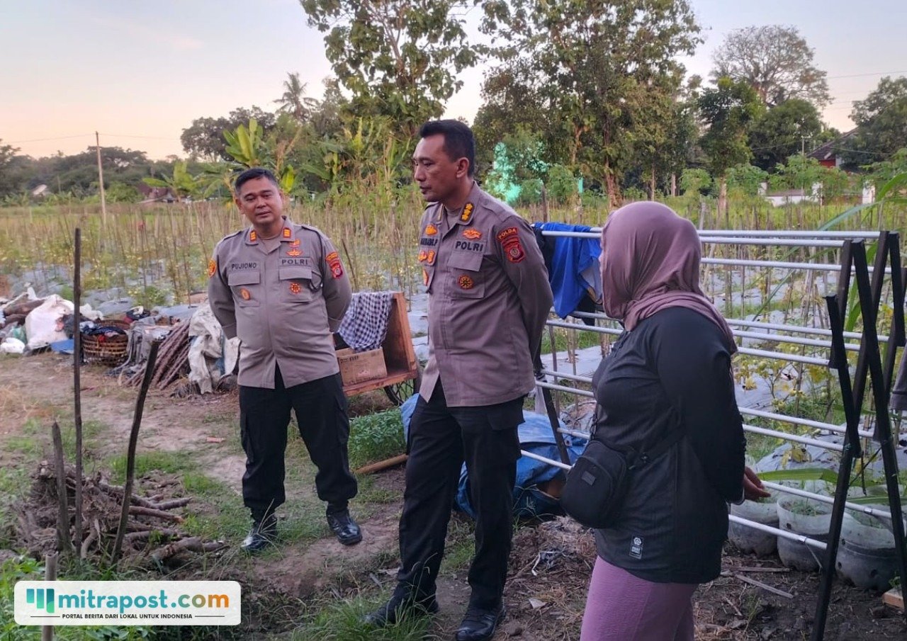 Fenomena Kebakaran Berulang di Seyegan Sleman, Polisi dan Pihak Terkait Bakal Kaji Mendalam Penyebabnya