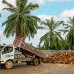 Mentan Akan Tindak Tegas 300 Perusahaan Sawit yang Belum Naikkan Harga di Tingkat Petani
