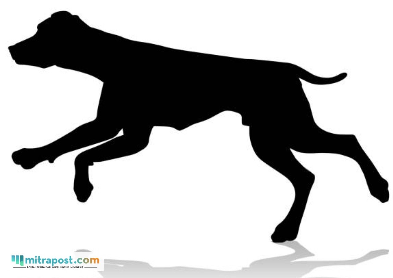 Bocah 9 Tahun di Bogor Jadi Korban Serangan Anjing Pemburu Hingga Tewas