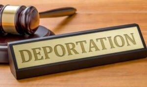 8 WN China Dideportasi, Terbukti Kerja Secara Ilegal di Proyek Renovasi Mal