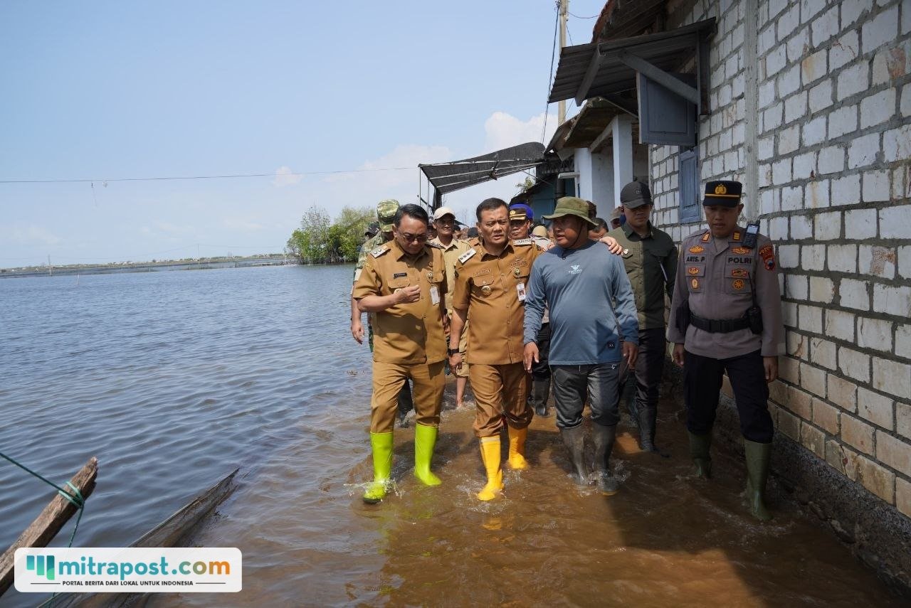 Pemkab Pati dan Pemprov Jateng tinjau lokasi banjir rob di Tunggulsari/humas Pemkab Pati