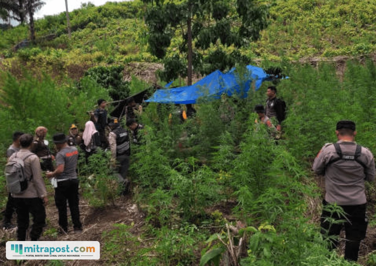 Upayakan Pemutusan Rantai Narkoba, BNN Ubah Petani Ganja Jadi Kopi